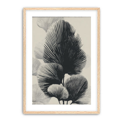 Fan fronds in ink shadow