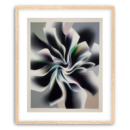 Spiral fold within pale blocks