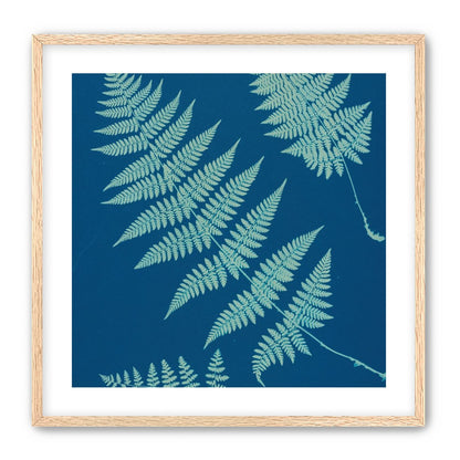 Pale ferns in deep blue