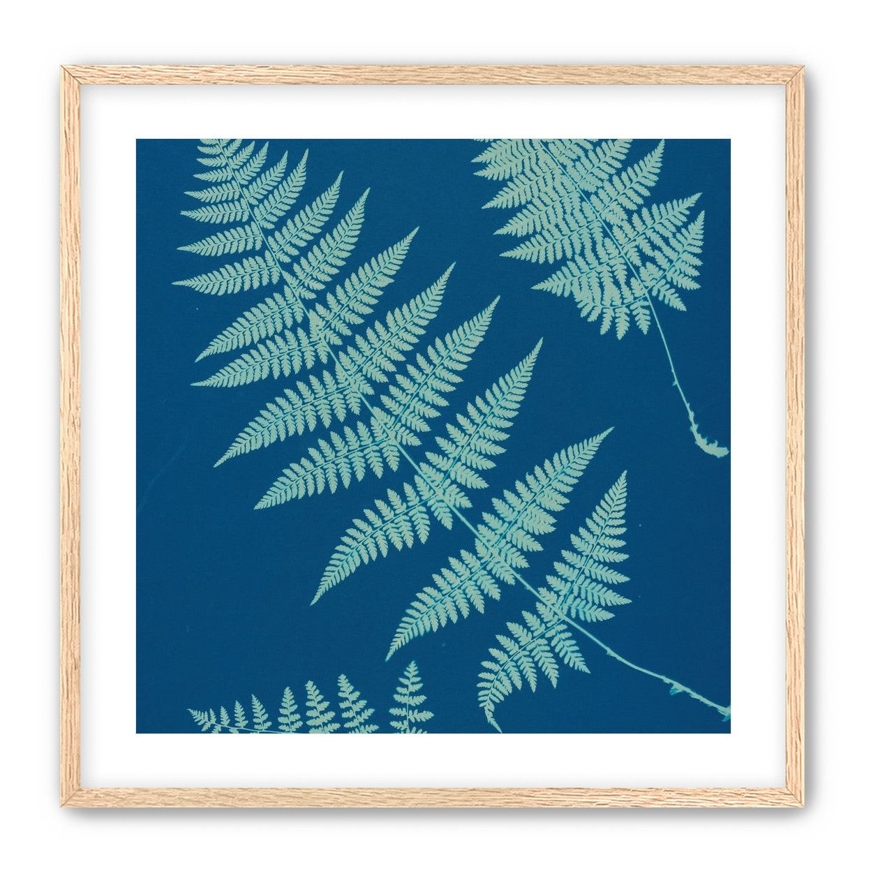Pale ferns in deep blue