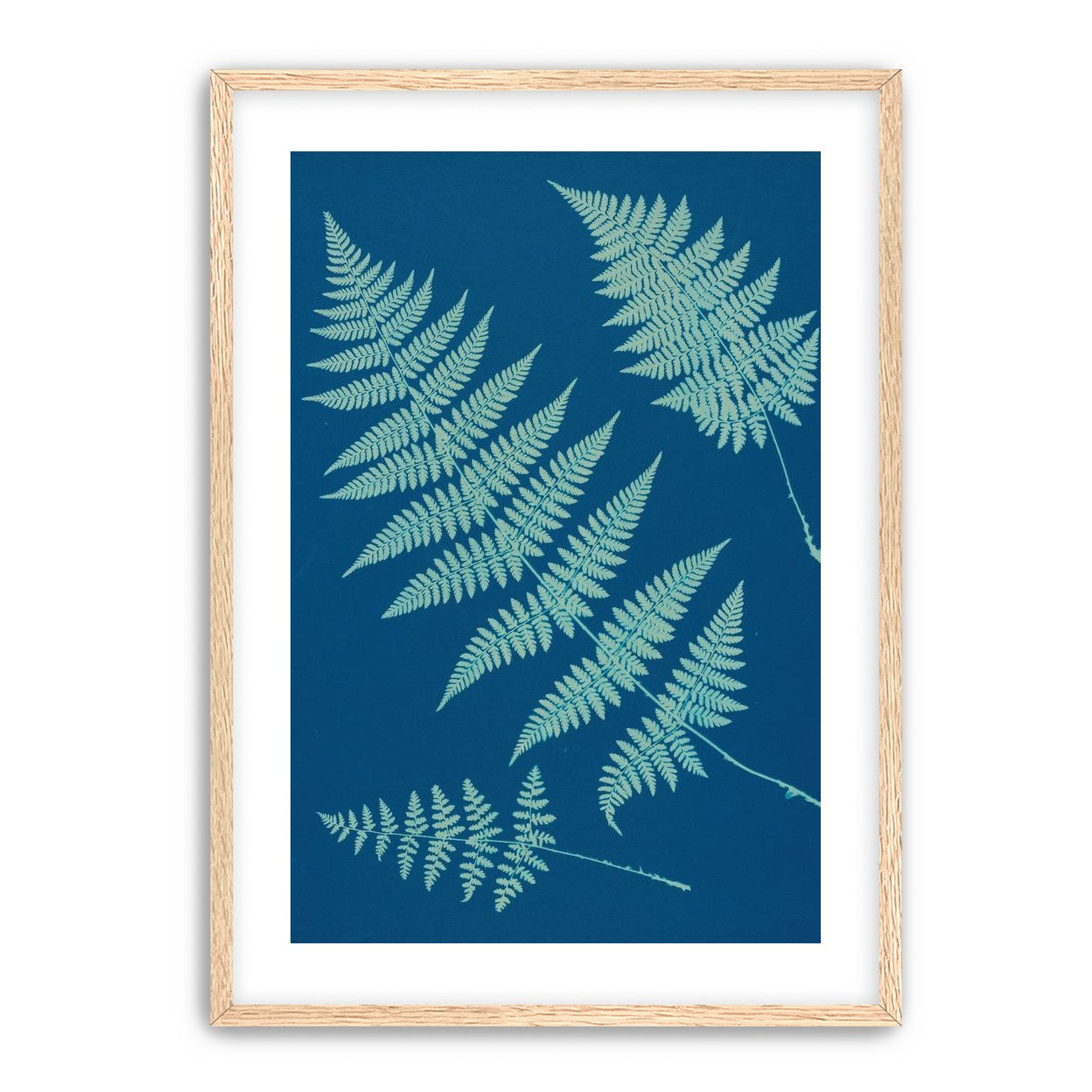 Pale ferns in deep blue