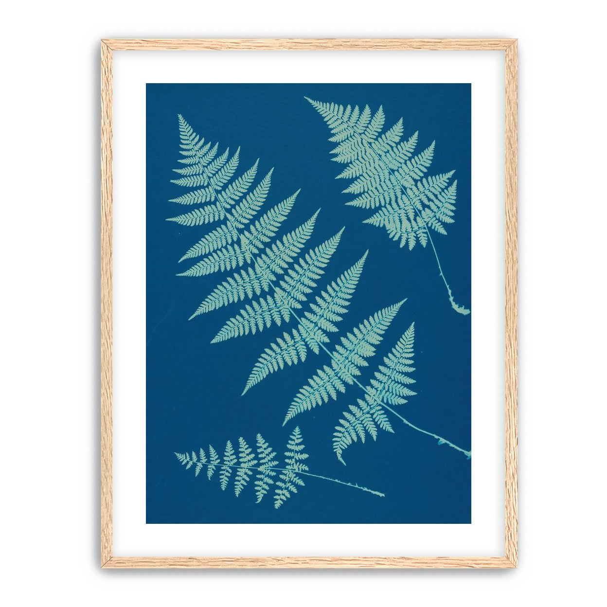 Pale ferns in deep blue