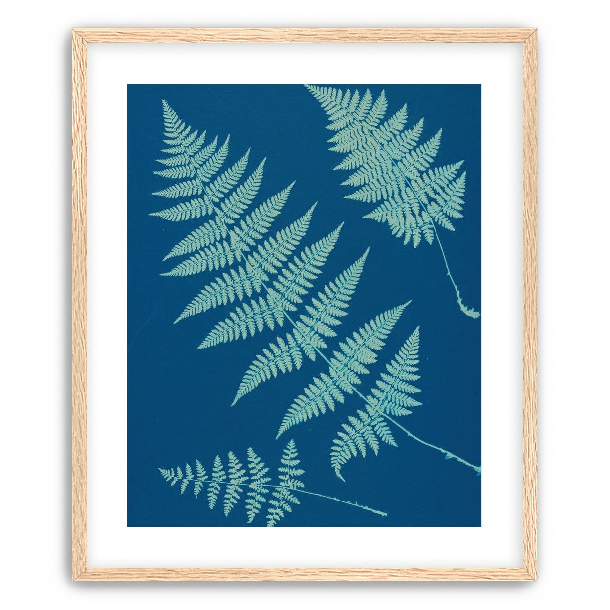 Pale ferns in deep blue