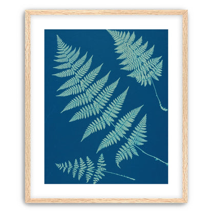 Pale ferns in deep blue