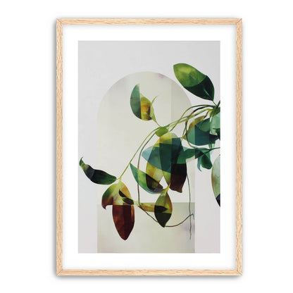 Leaves in a pale halo