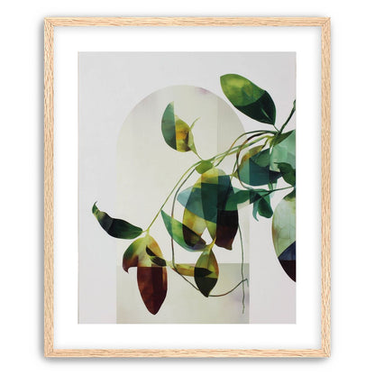 Leaves in a pale halo