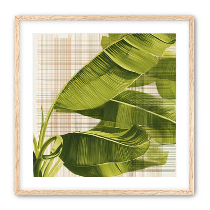 Banana leaves against the grid