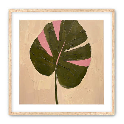 Pink banded leaf on plastered white