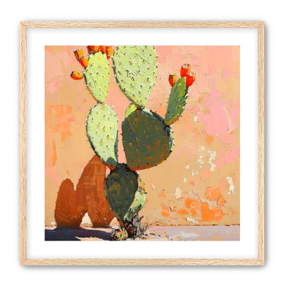 Prickly pear in sunlit plaster