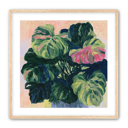 Pink light on green leaves