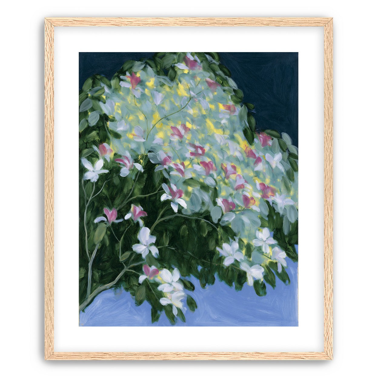 Blossoms across the night sky