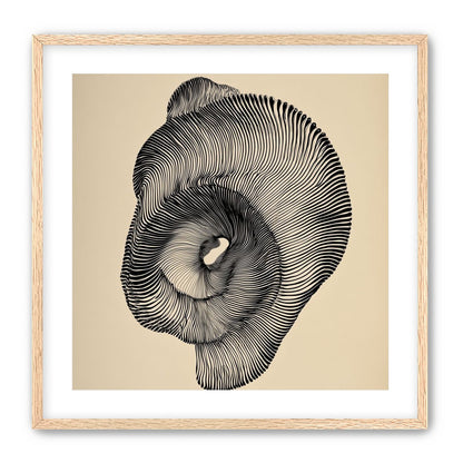 A hollow within black lines