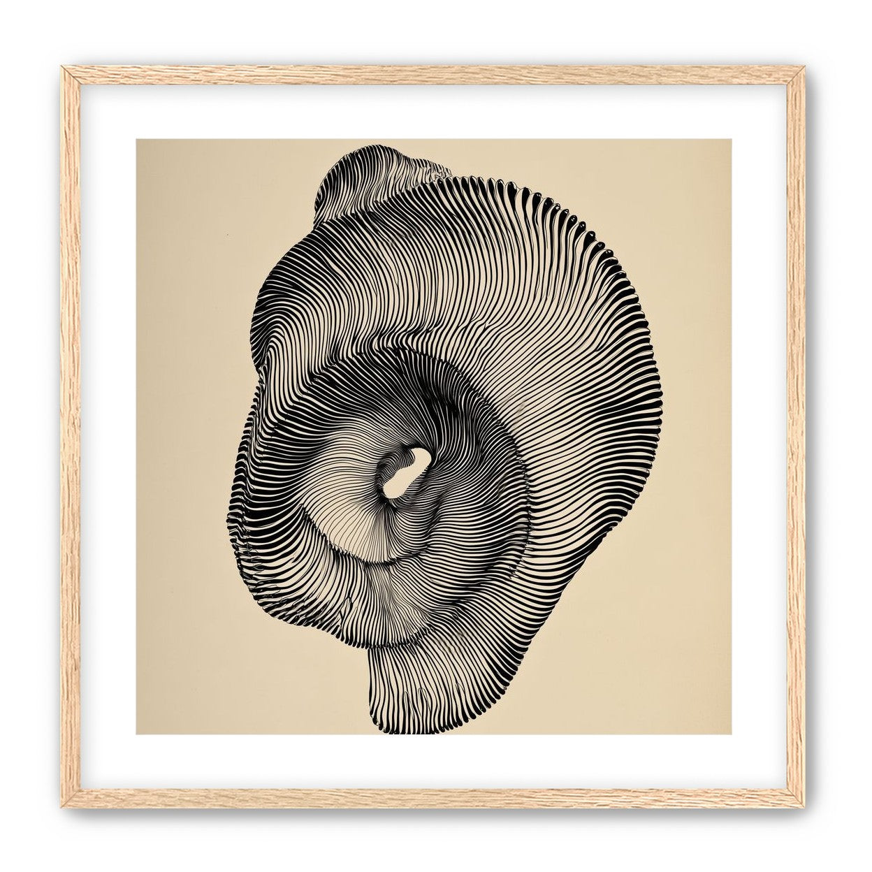 A hollow within black lines