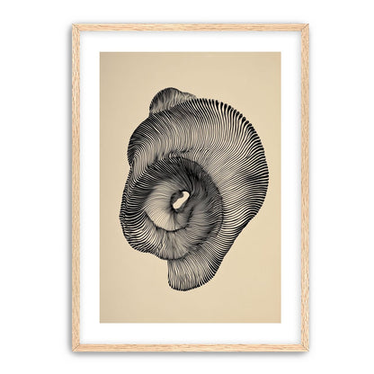A hollow within black lines