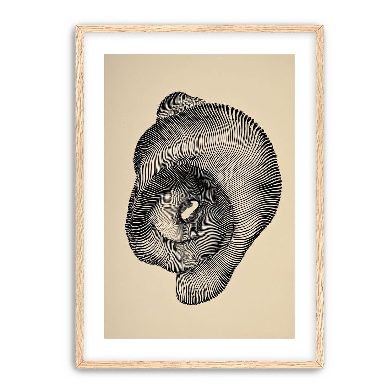A hollow within black lines