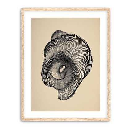 A hollow within black lines