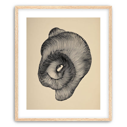 A hollow within black lines
