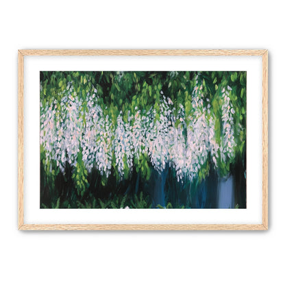 Pale blossoms in green shade