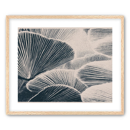 Ink shadows on palm fronds