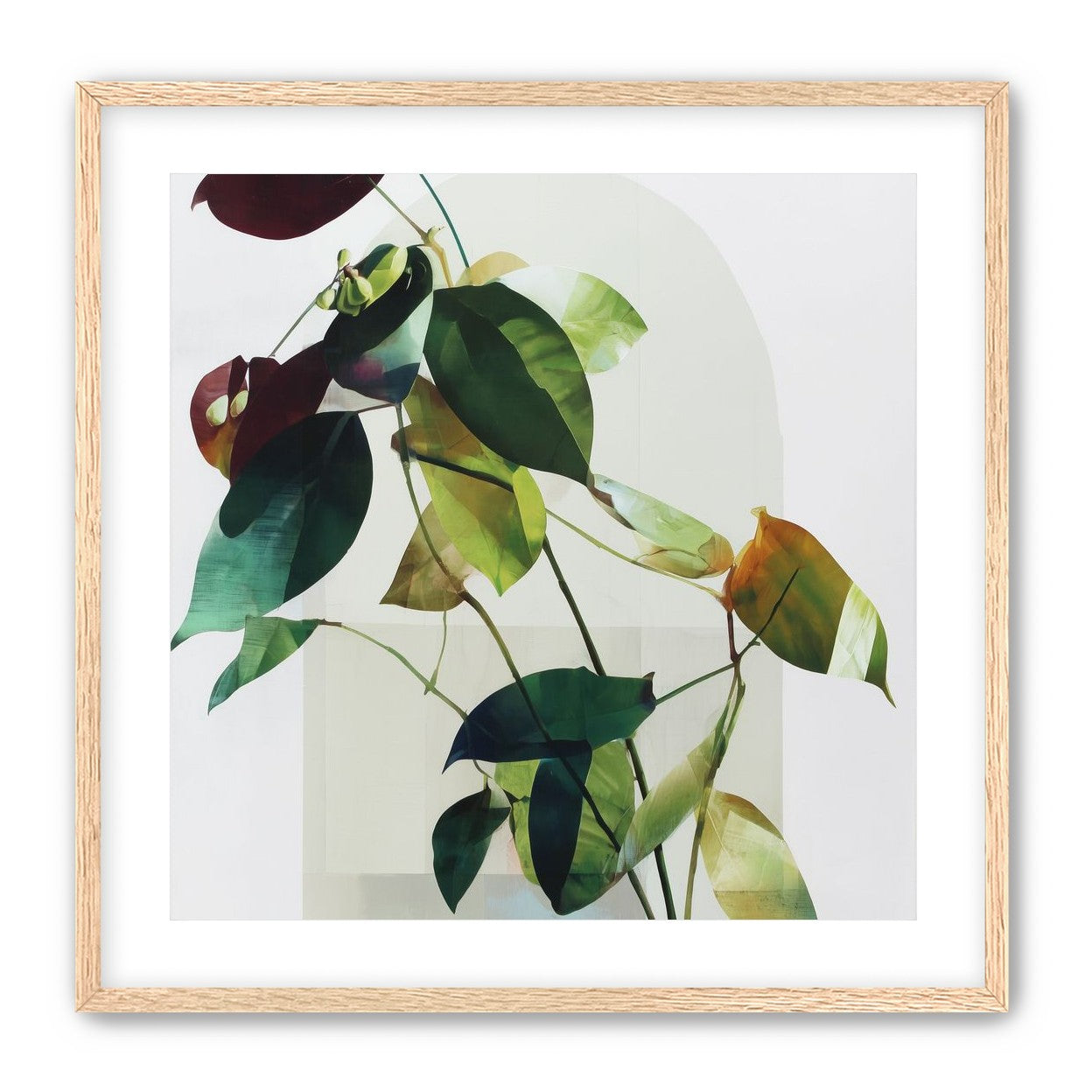 Leaves across a pale arch