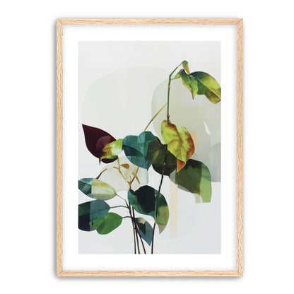 Leaves within pale shadows