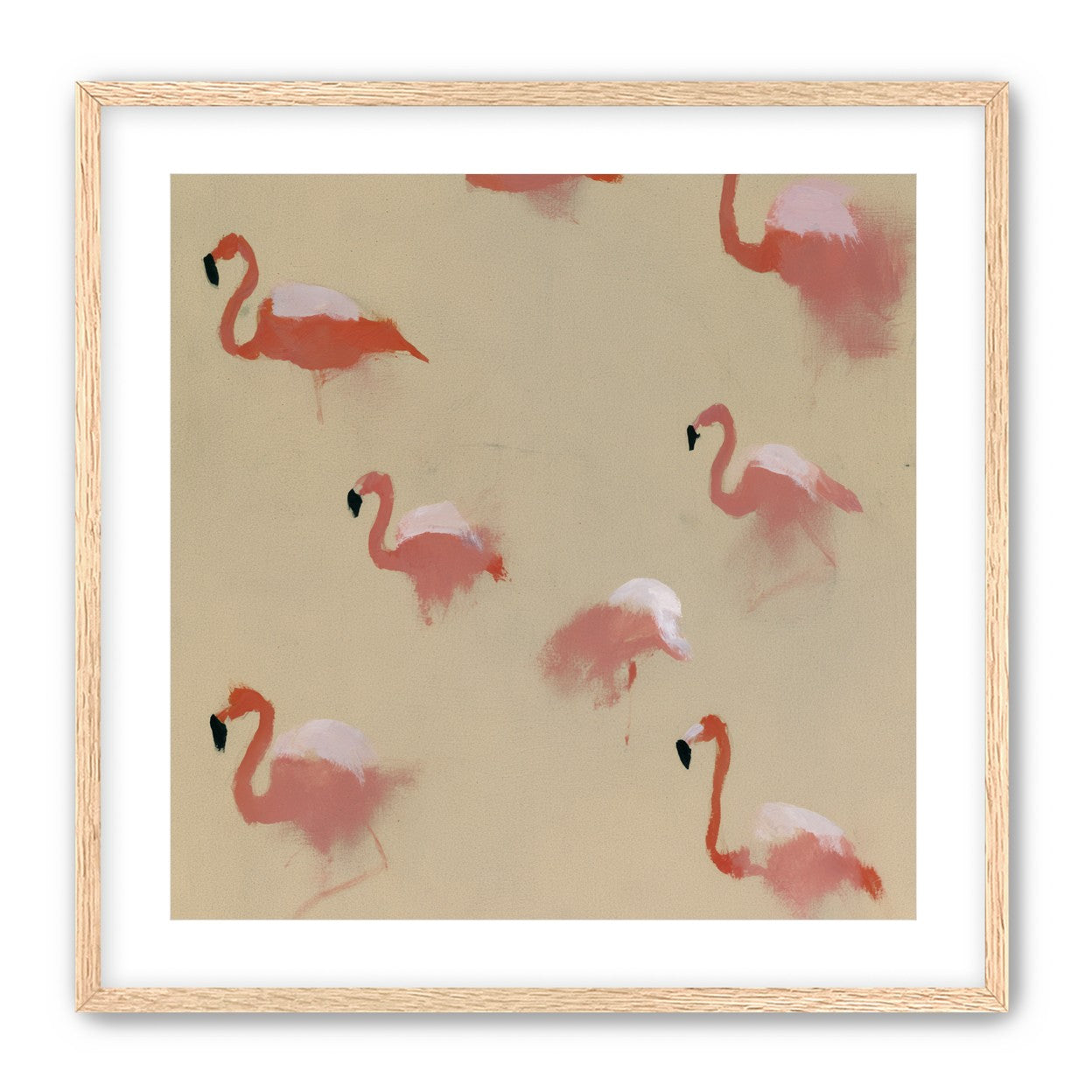 Flamingos in quiet drift