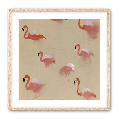 Flamingos in quiet drift