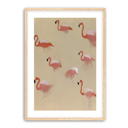 Flamingos in quiet drift