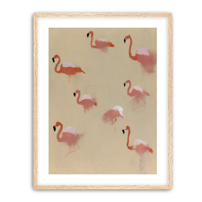 Flamingos in quiet drift