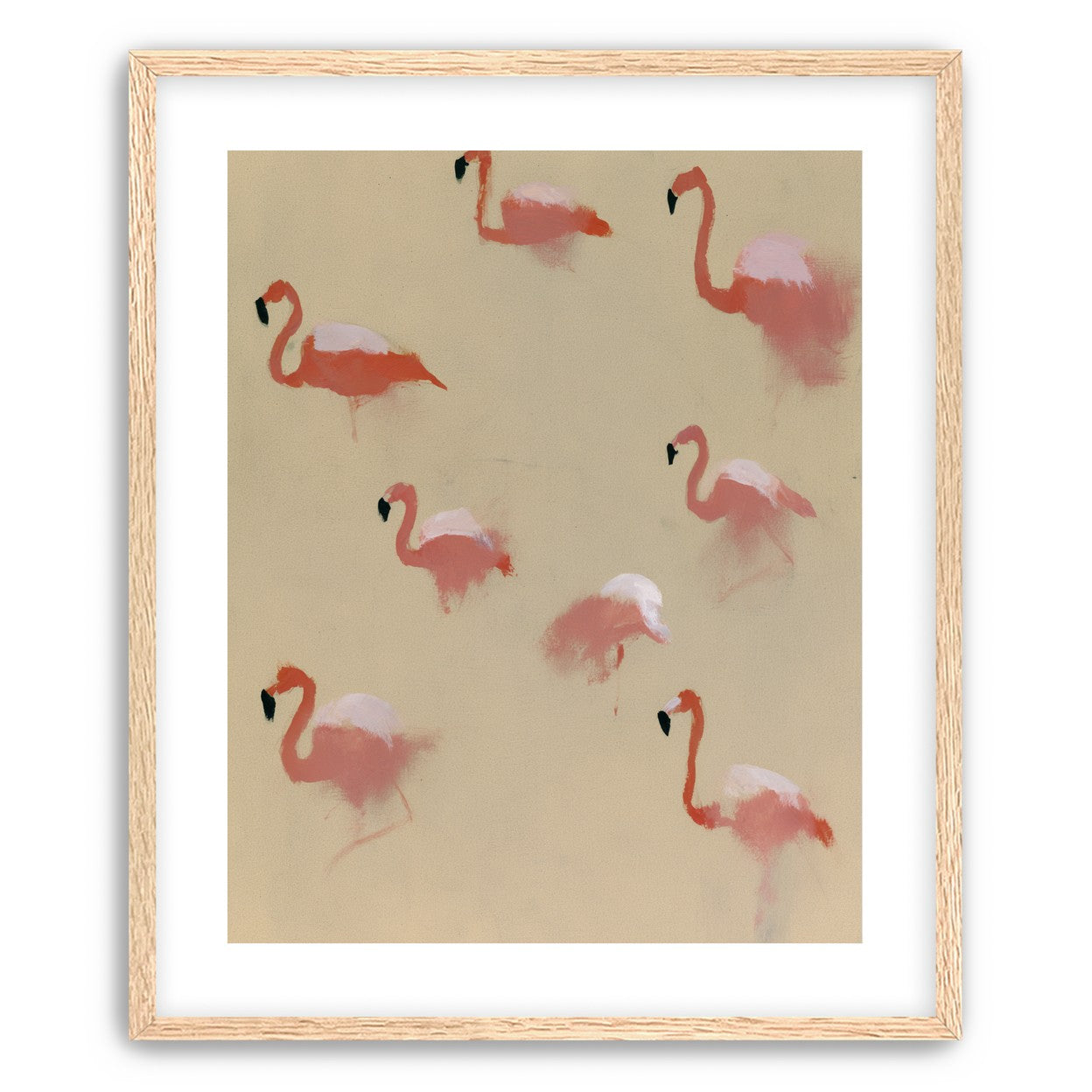Flamingos in quiet drift