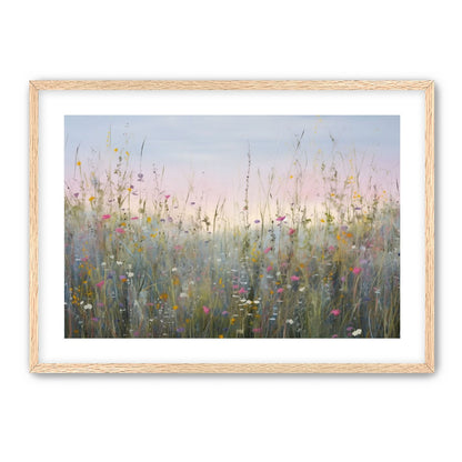 Dreams of Wildflowers