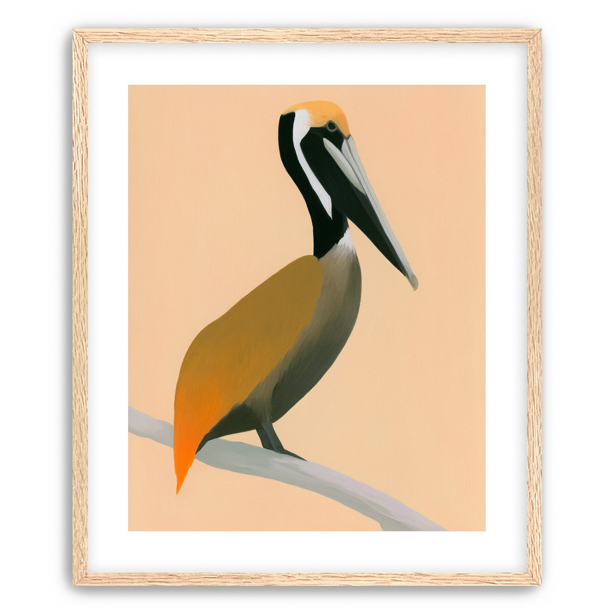 Pelican in peach light