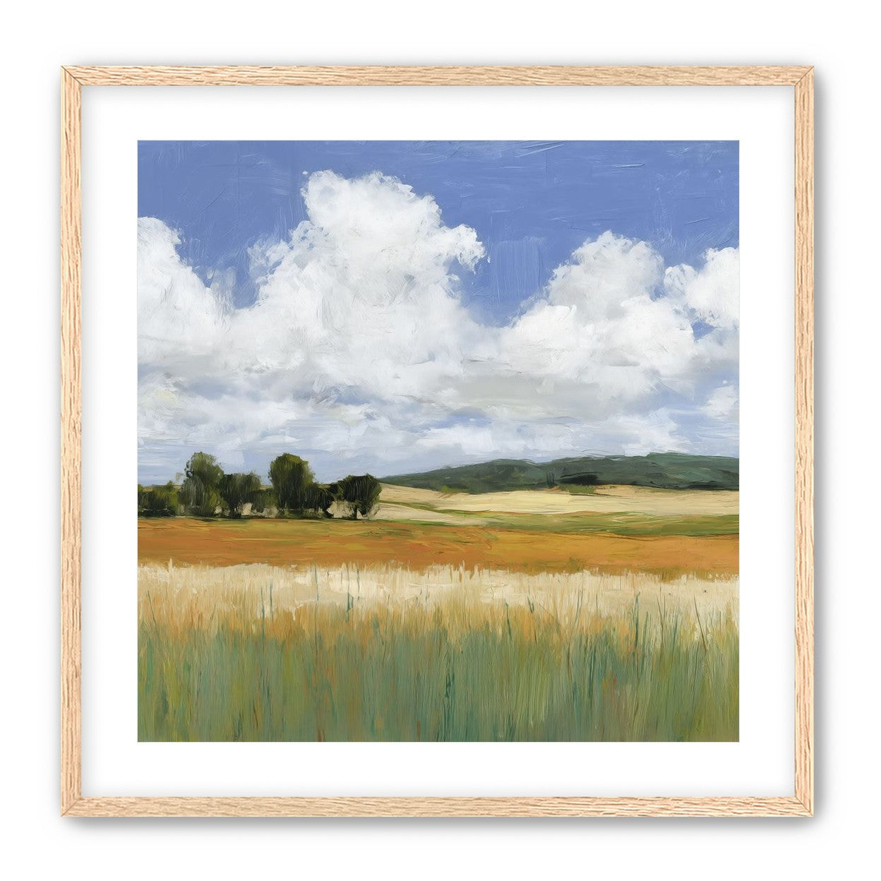Meadow Under Clouds