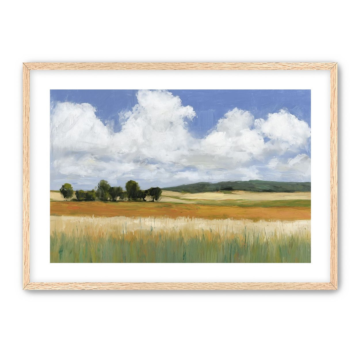 Meadow Under Clouds