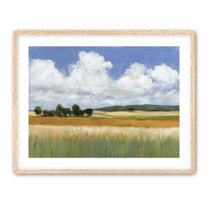 Meadow Under Clouds