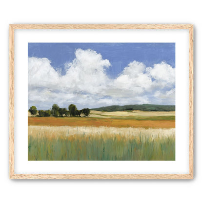 Meadow Under Clouds