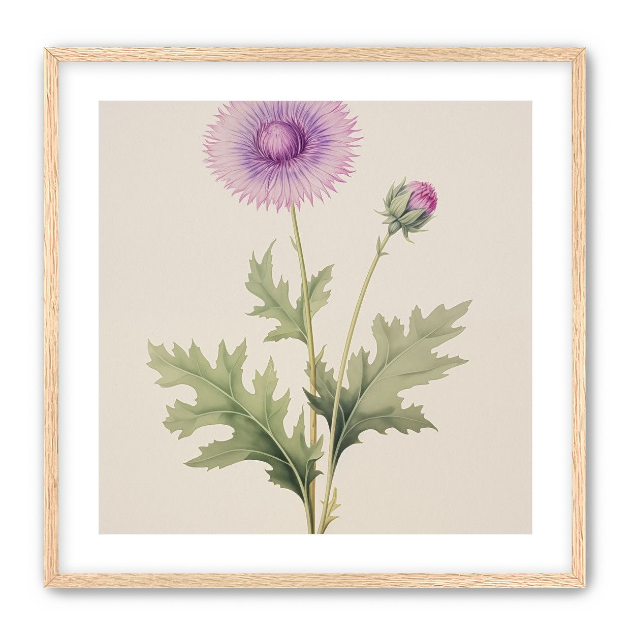Lavender Radiance