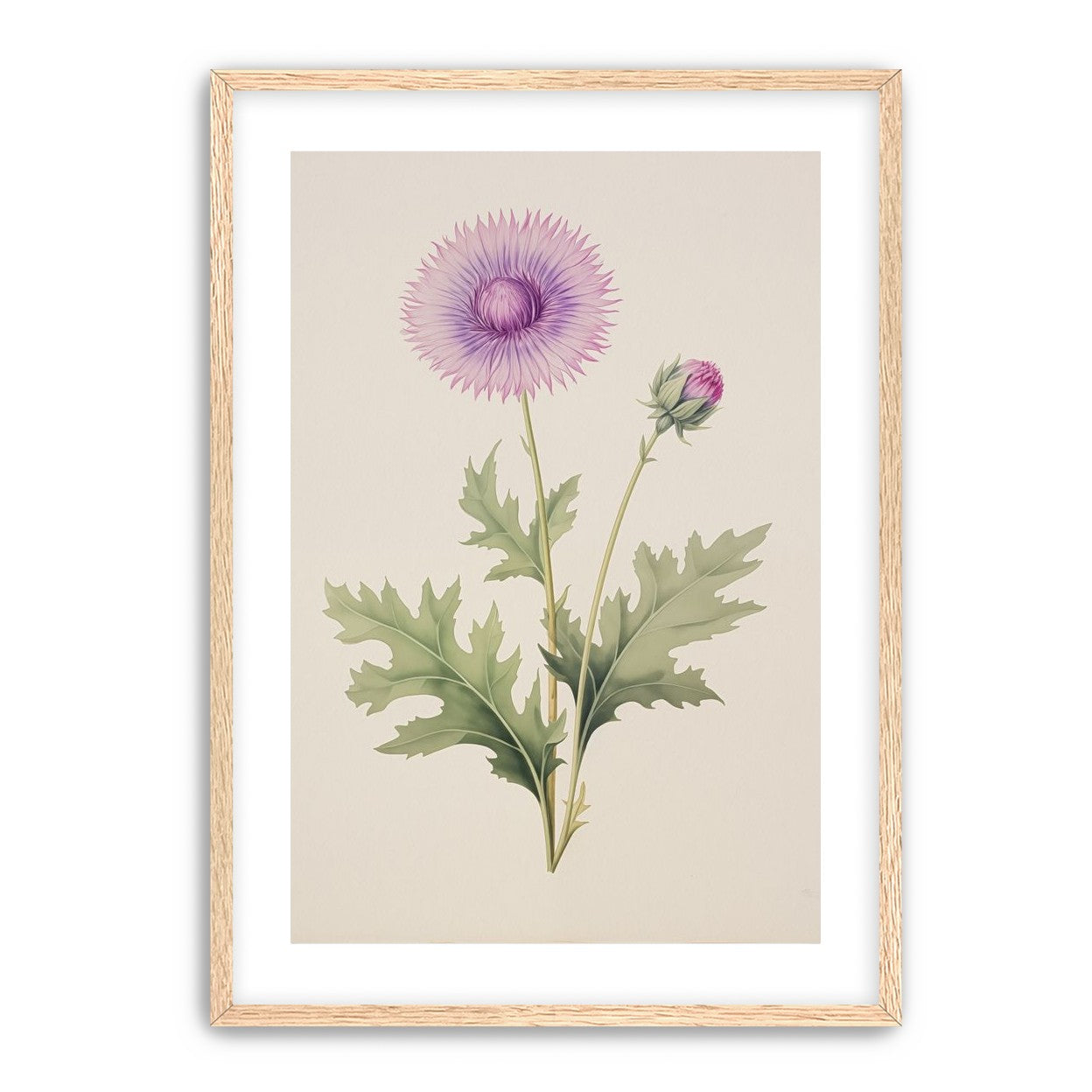 Lavender Radiance