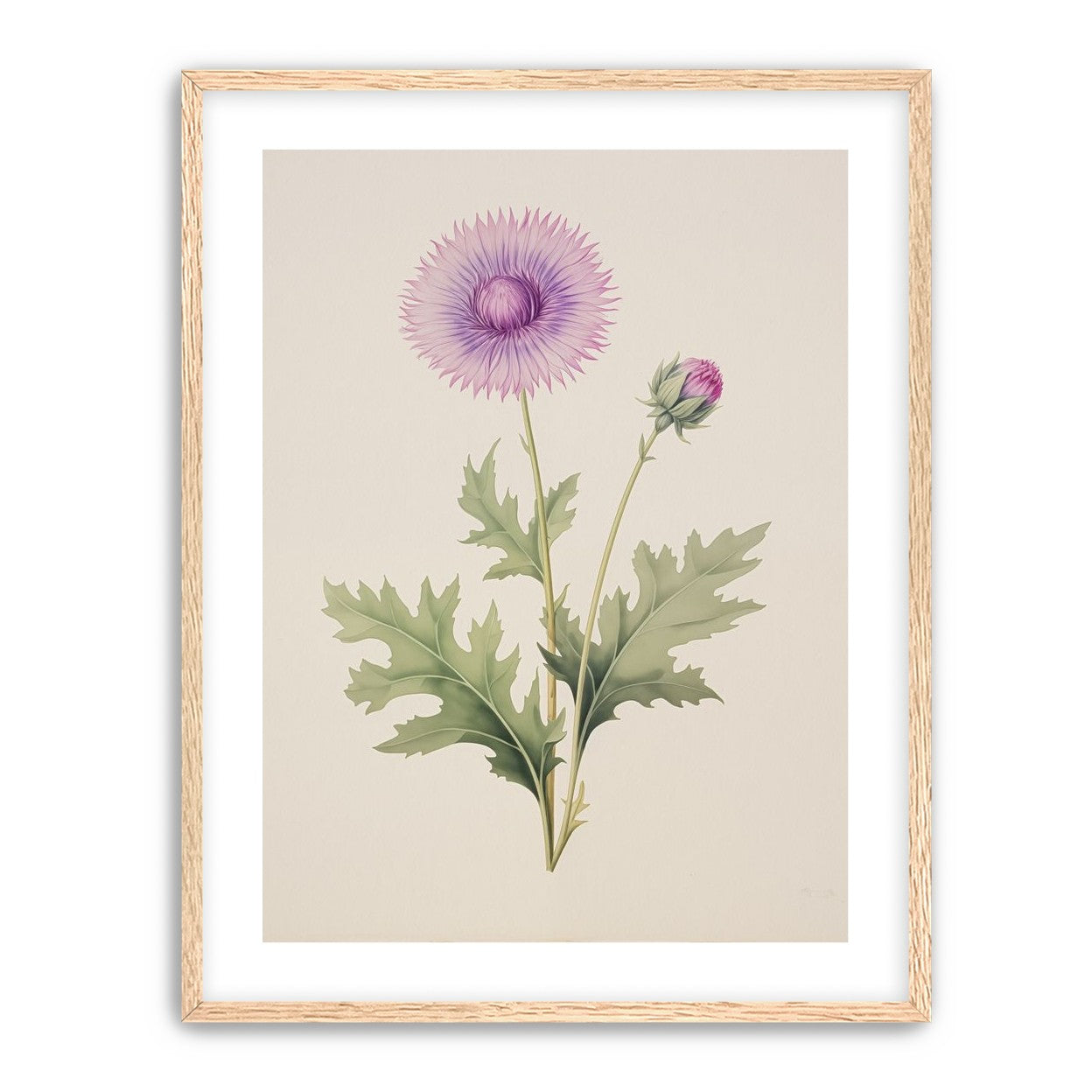 Lavender Radiance