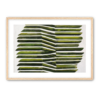 Olive bands with a crease