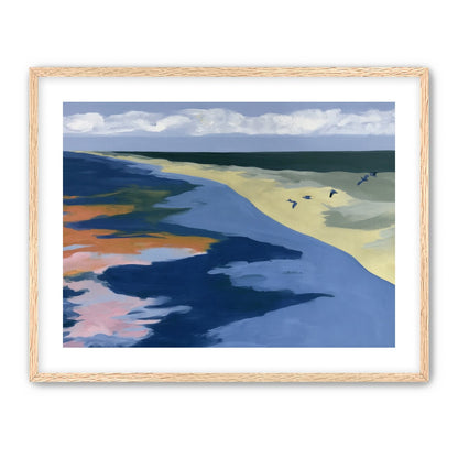 Birds over the pale shore