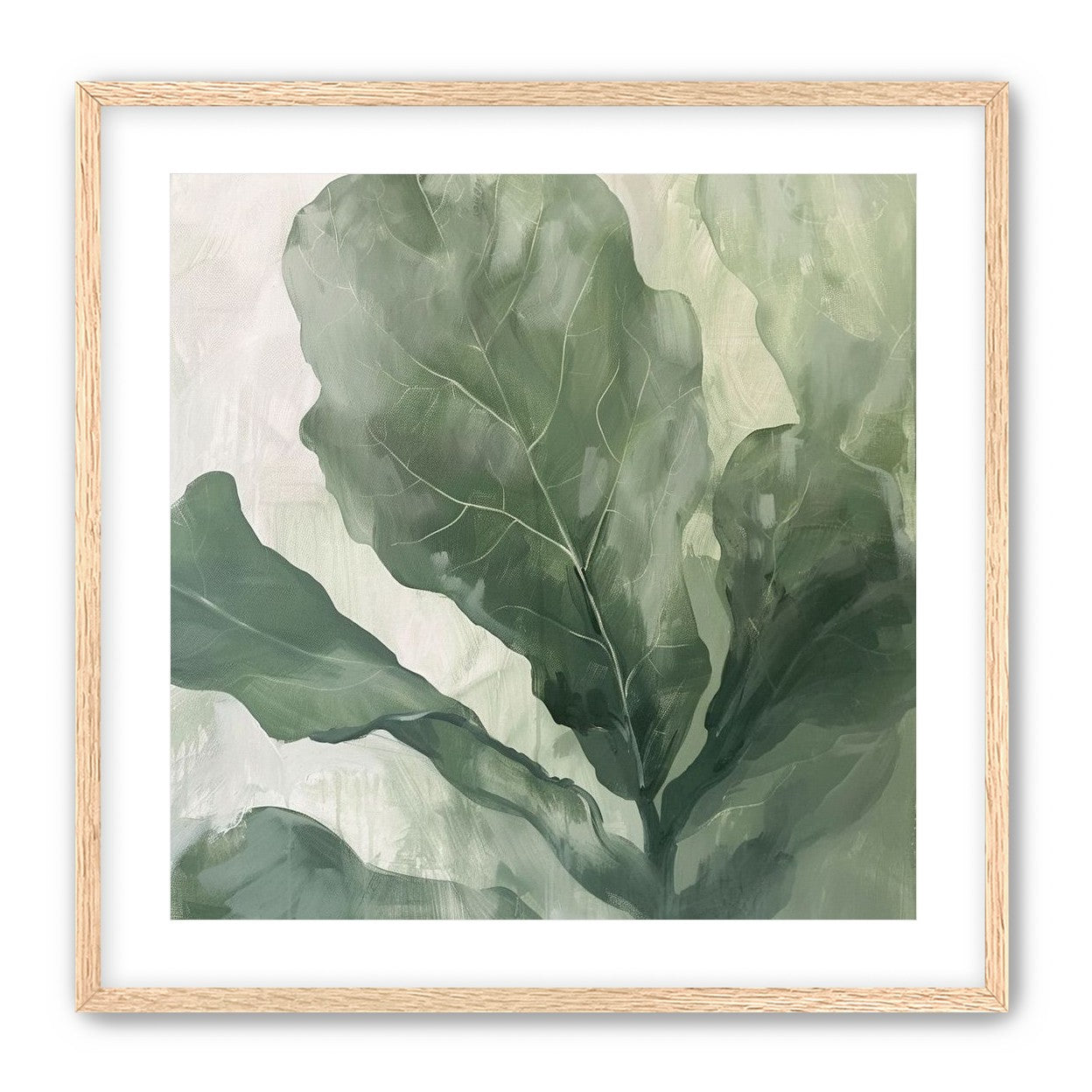Sage leaves in pale light