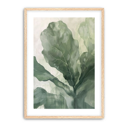 Sage leaves in pale light