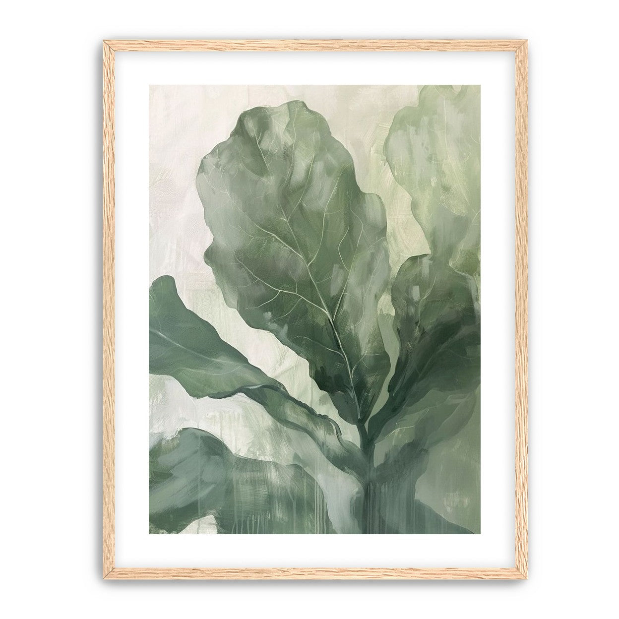 Sage leaves in pale light