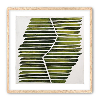 Leaf ribs around a white vein