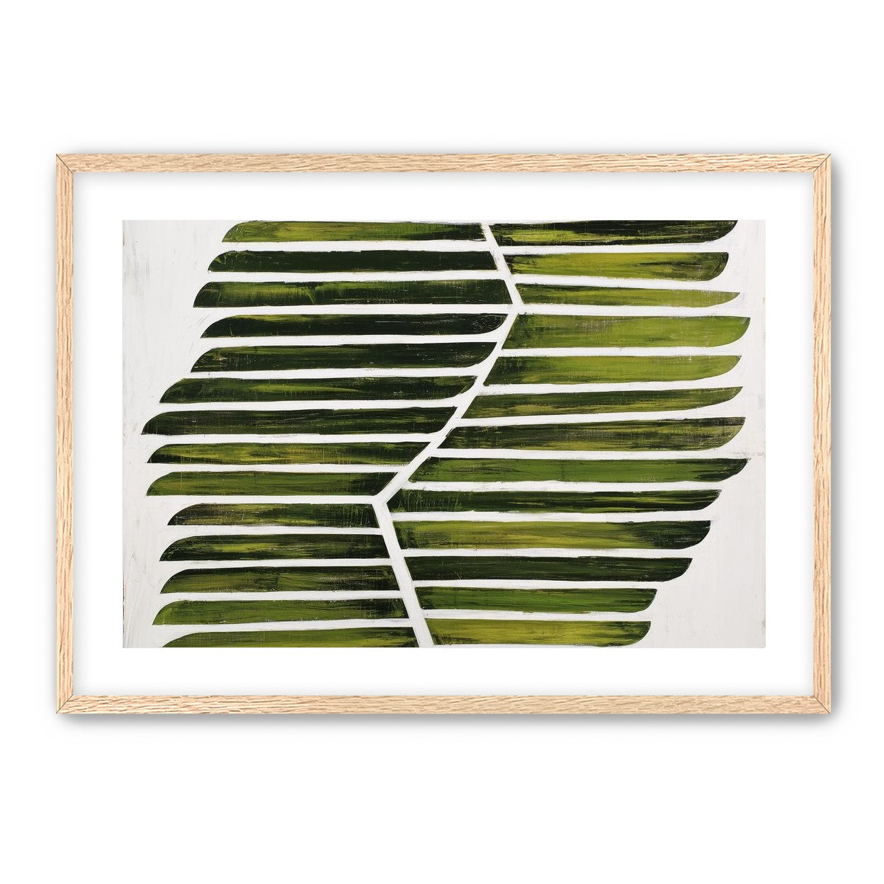 Leaf ribs around a white vein