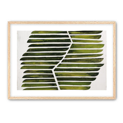 Leaf ribs around a white vein