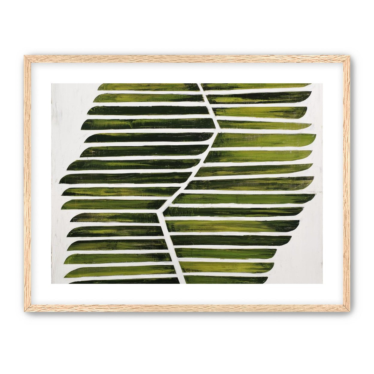 Leaf ribs around a white vein