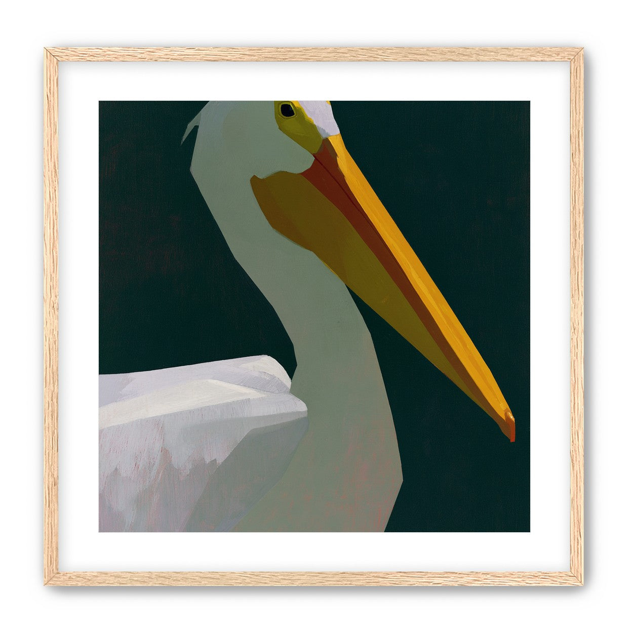 White pelican in deep green