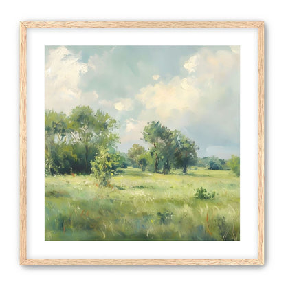 The Gentle Field
